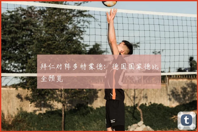 拜仁对阵多特蒙德:德国国家德比全预览